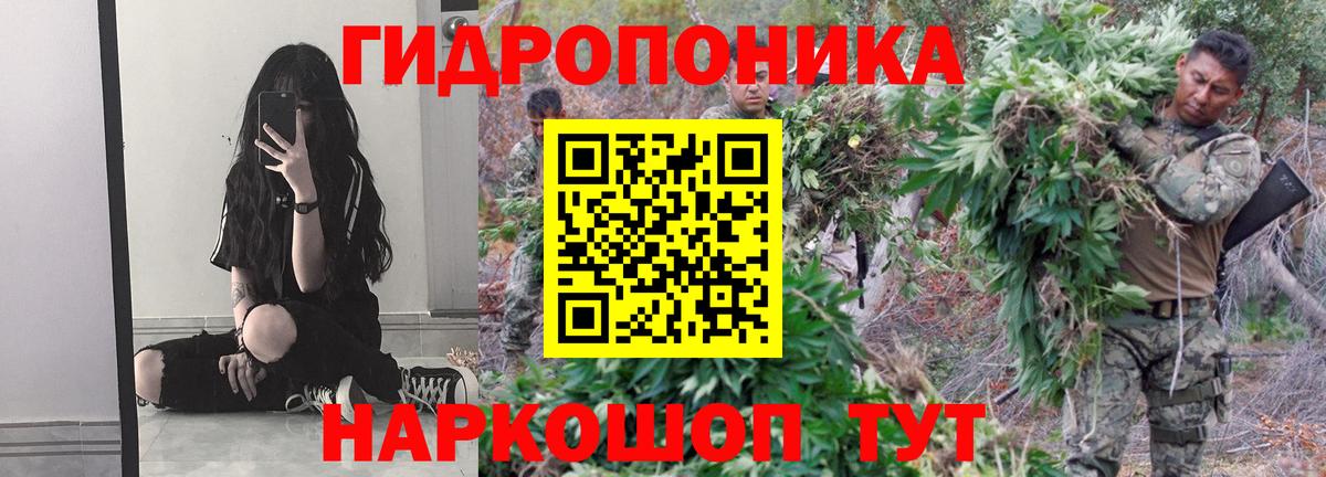 Бошки Шишки White Widow Москва
